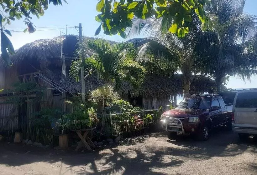 هتل Pelicano Surf Camp