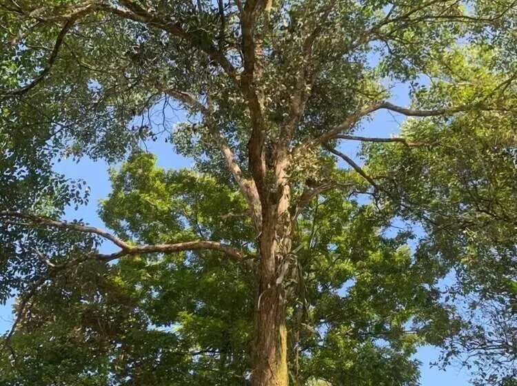 Hotelli Villa Rodeo Lodge