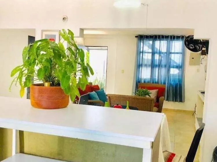 پانسیون Casa Don Arturo