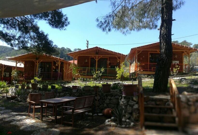 پانسیون Olympos Tanrılar Kulübü