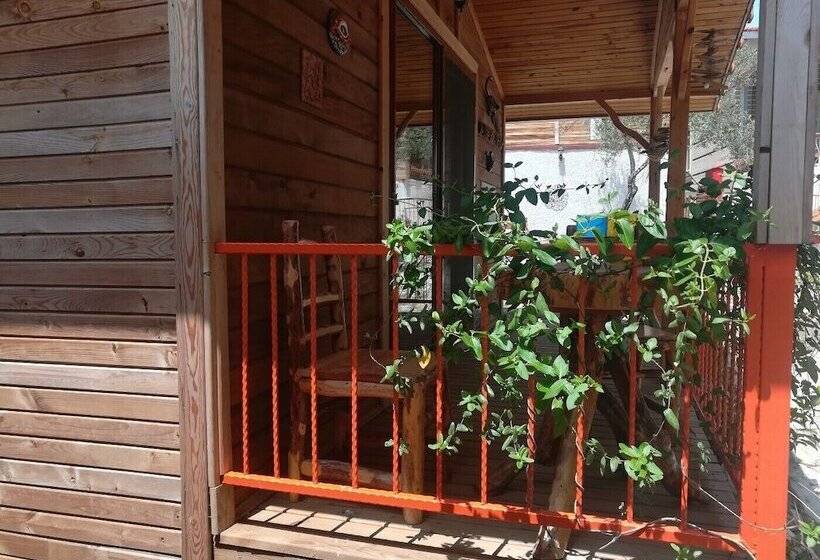 پانسیون Olympos Tanrılar Kulübü