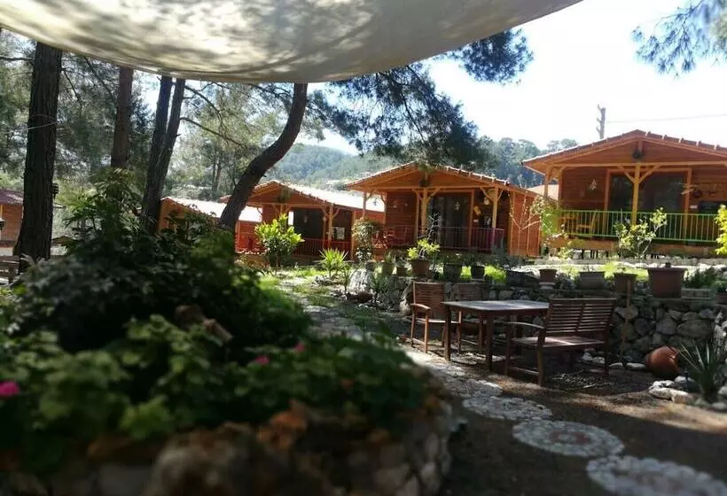 پانسیون Olympos Tanrılar Kulübü
