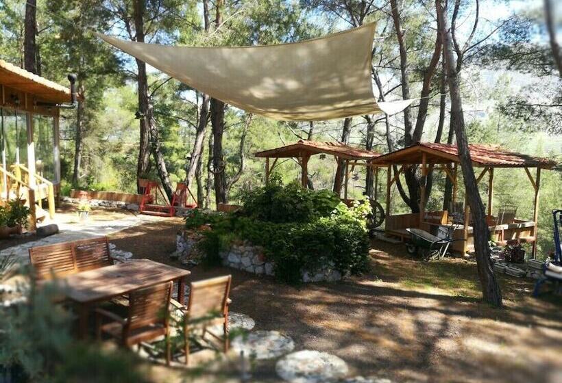 پانسیون Olympos Tanrılar Kulübü