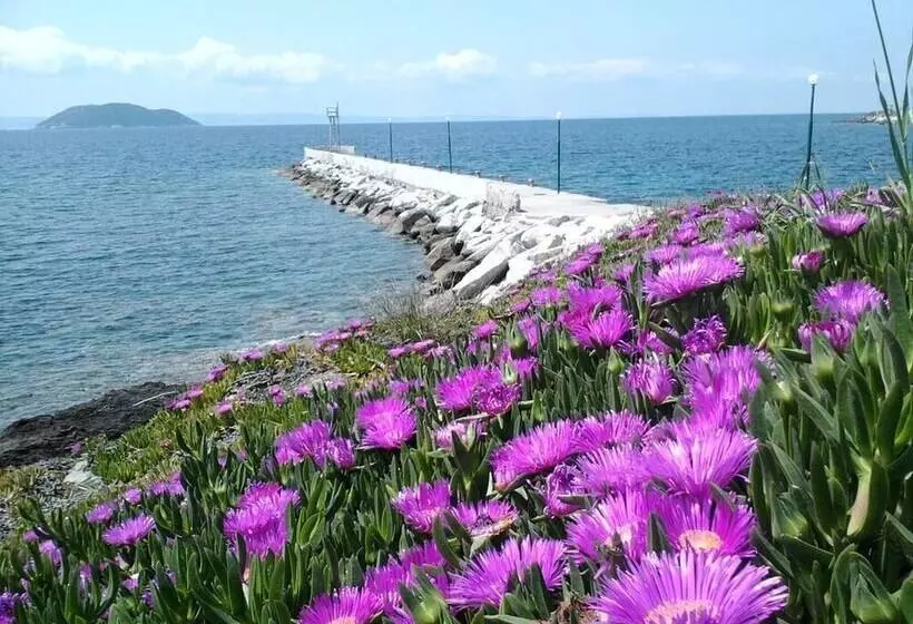 Majatalo Welcome To Hotel ,,petunia,, In Neos Marmaras,xalkidiki ,greece,in Para18dise