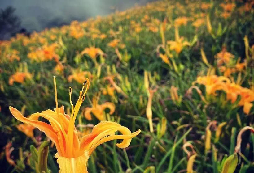 Grandma Tso S Home B&b