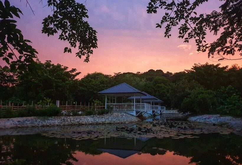 Hotel Hiraya Wellness Resort And Ecopark