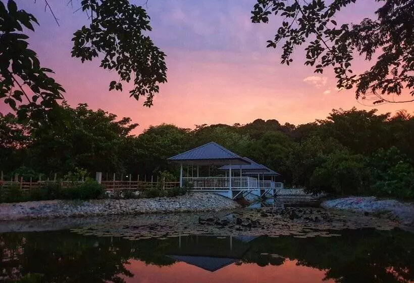 ホテル Hiraya Wellness Resort And Ecopark