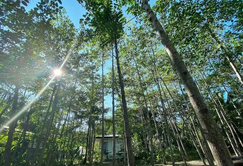 ホテル Hiraya Wellness Resort And Ecopark