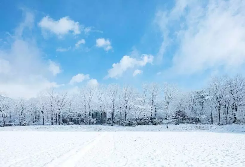 ホテル Hoshino Resorts Risonare Nasu