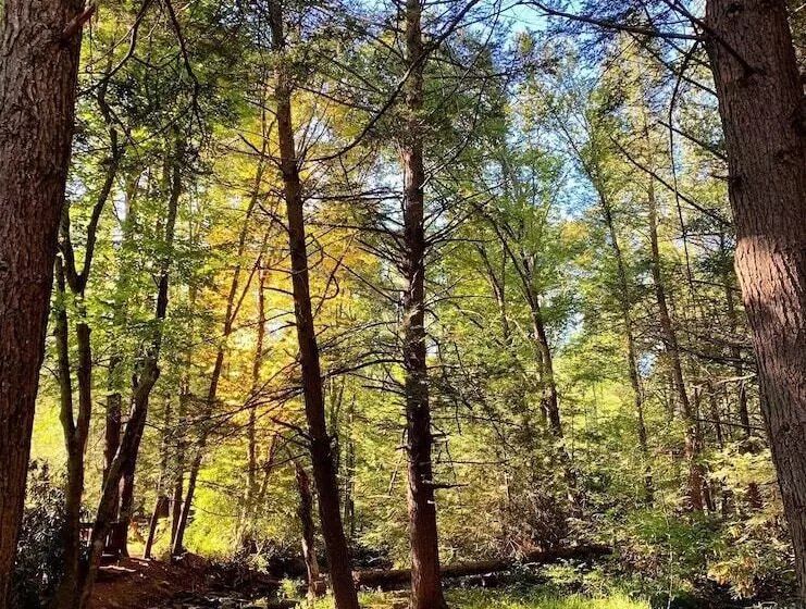 Hotelli Magnolia Streamside Resort