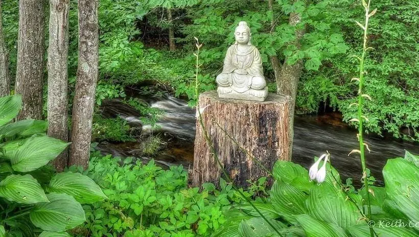 Hotelli Magnolia Streamside Resort