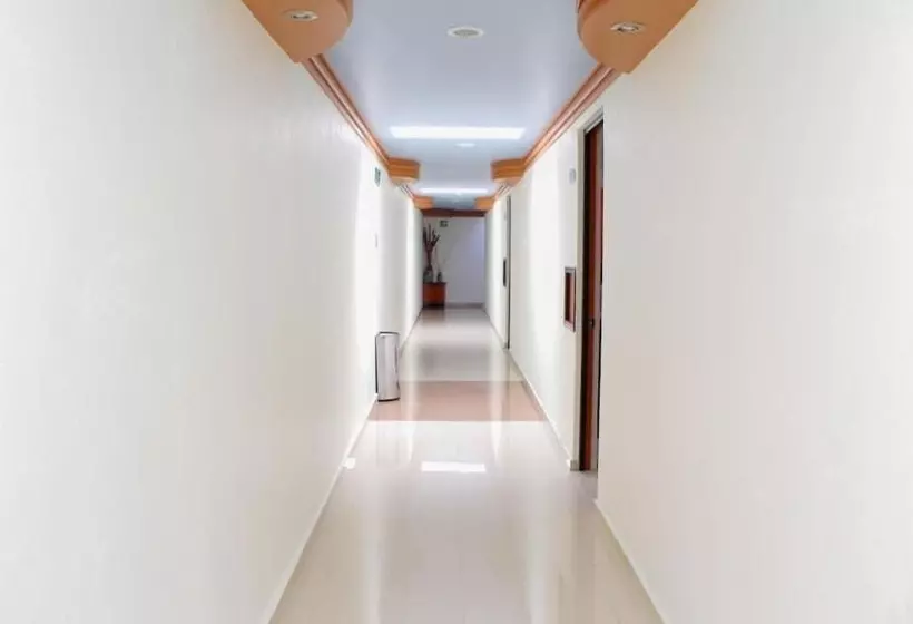 ホテル Plaza Fontesanta