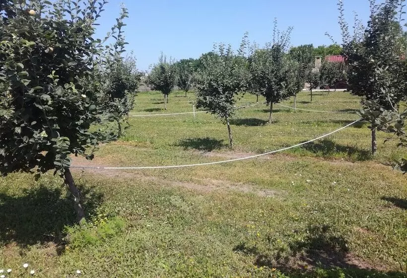 هتل روستایی Salaš Farma 47 Miris Dunja