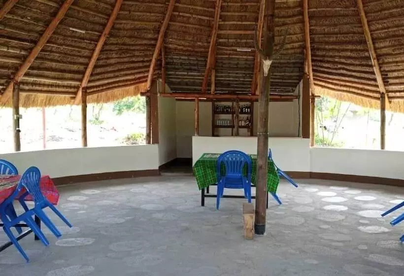 هتل Tangi Safaris Lodge