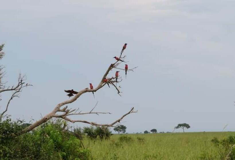 هتل Tangi Safaris Lodge
