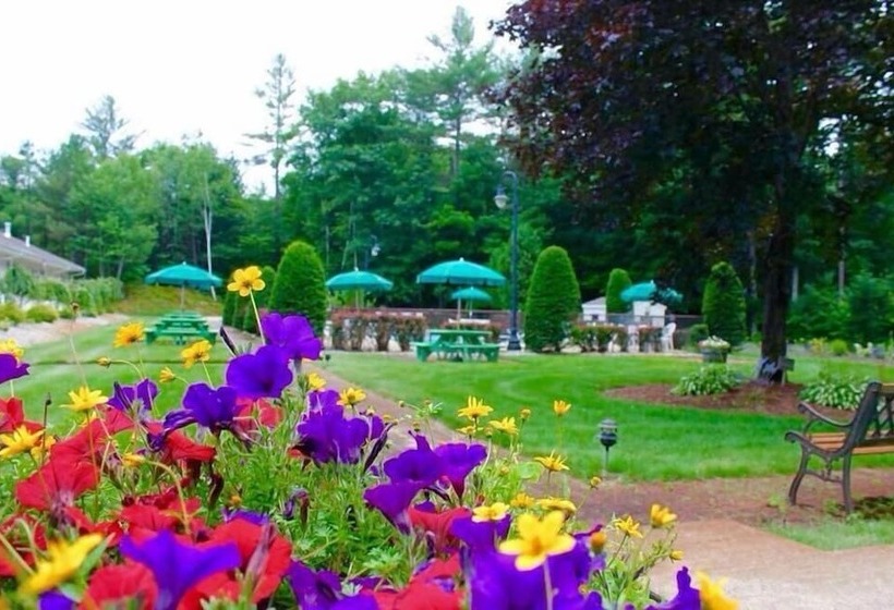 Motel Golden Apple Inn