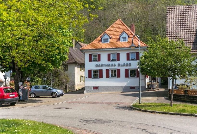 Pensão Gasthaus Zur Blume