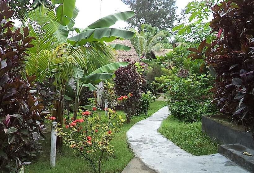 膳宿费 Nelly Bungalows