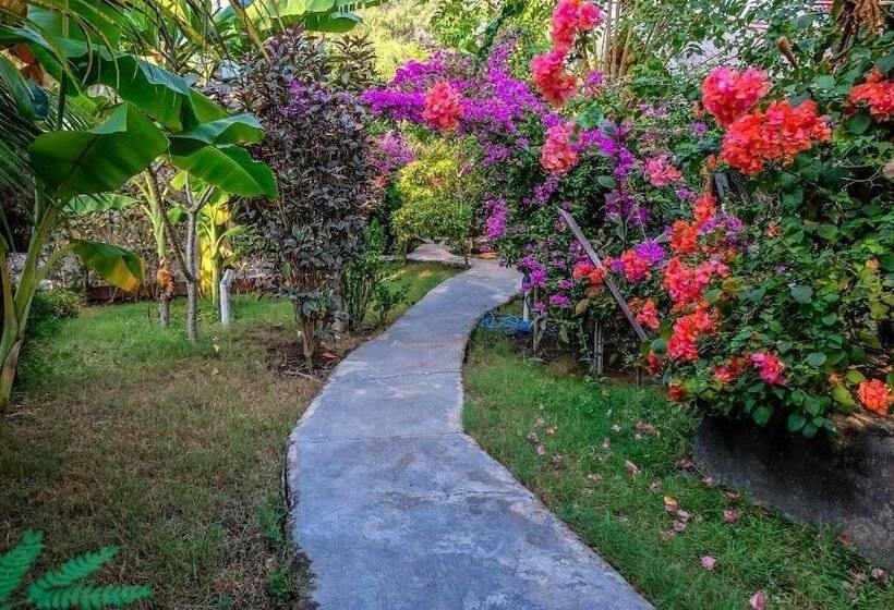 膳宿费 Nelly Bungalows