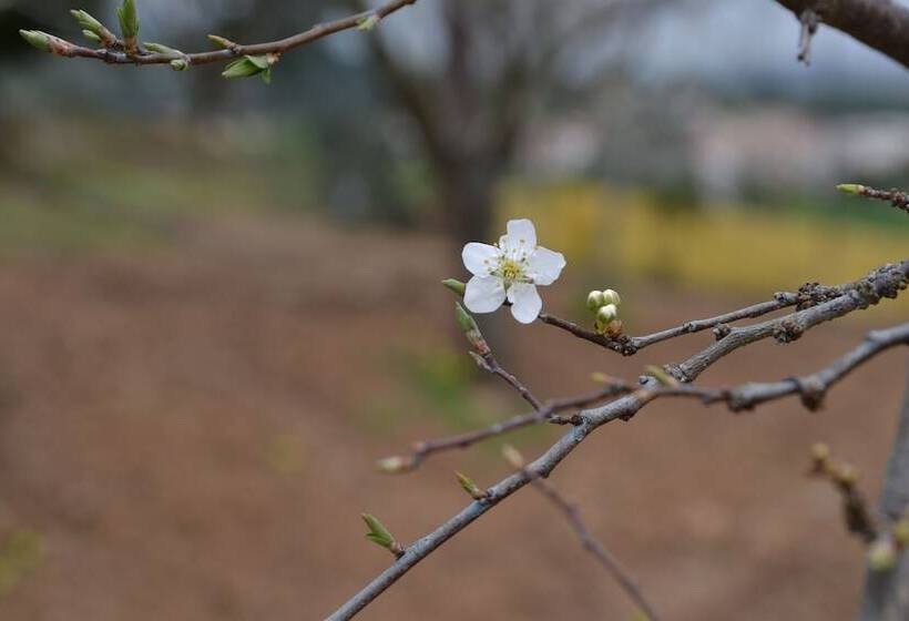 Пансион Quinta Vitae