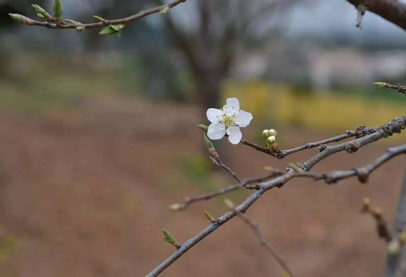 Majatalo Quinta Vitae