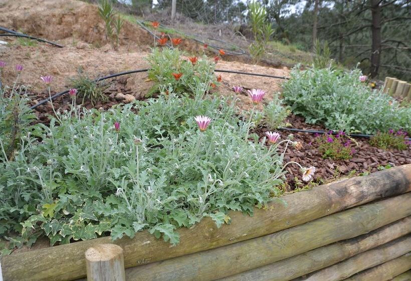 Пансион Quinta Vitae