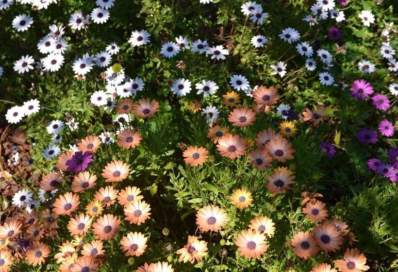 Пансион Quinta Vitae