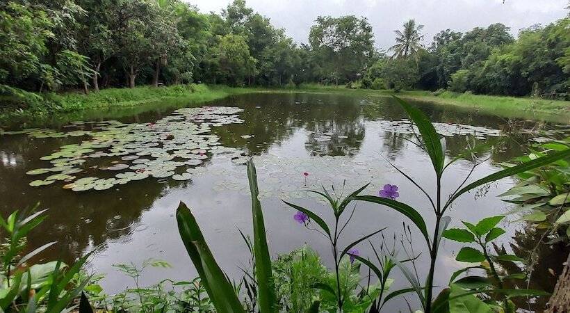 Pension Village Homestay