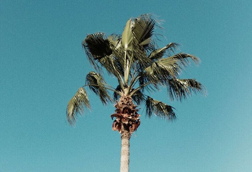 Villa In Encore Resort At Reunion 3458