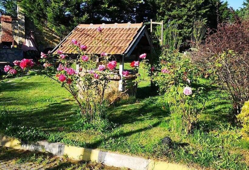 Bed and Breakfast Haznedar Bungalow