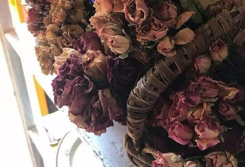 ベッドアンドブレックファースト Mi Casa Es Tu Casa Inn