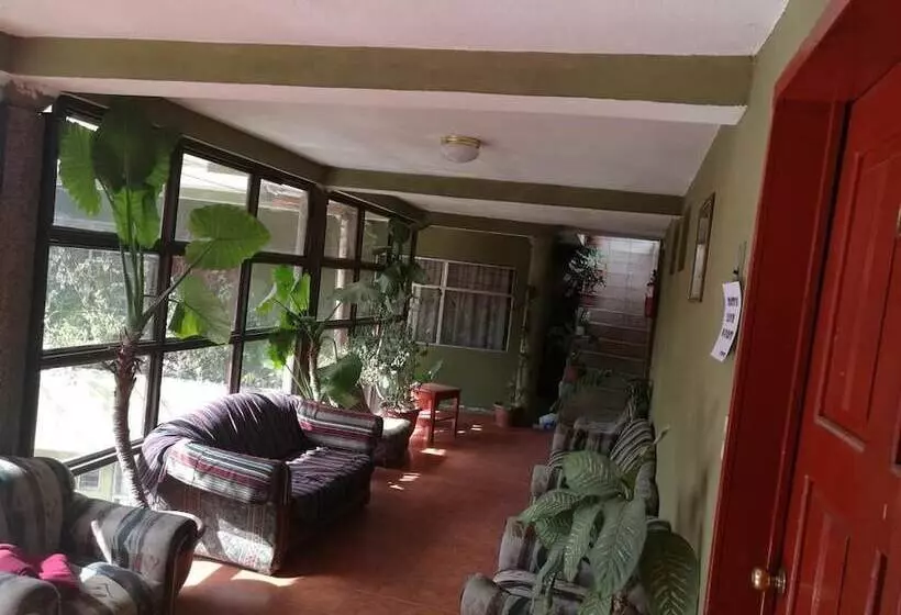 هتل Casa Shalom