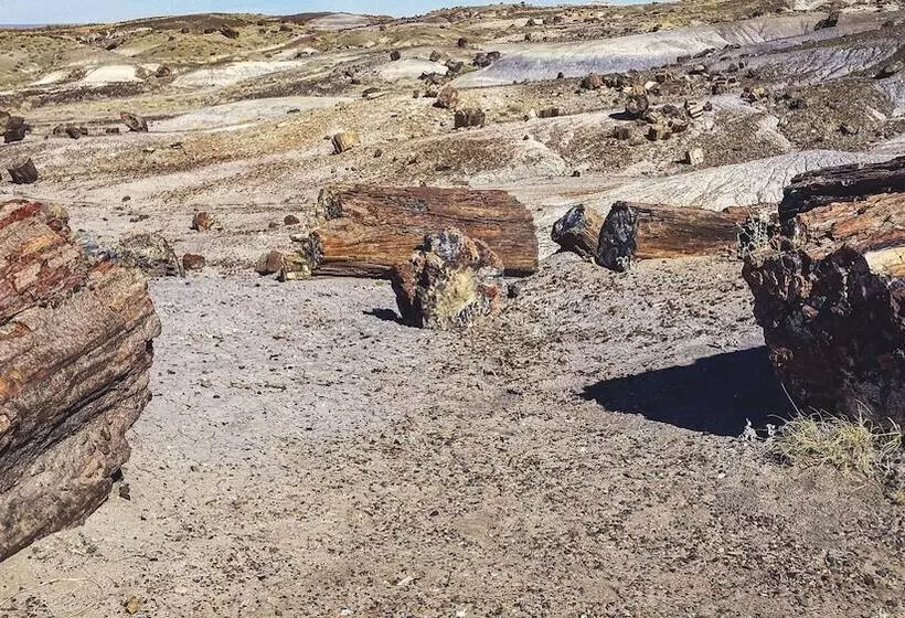 Hotelli Holbrook Koa