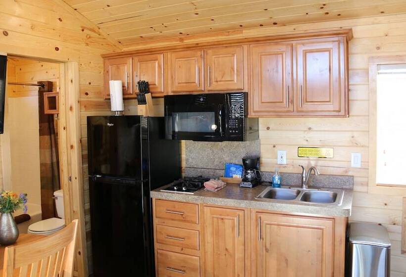 Отель Holbrook Koa