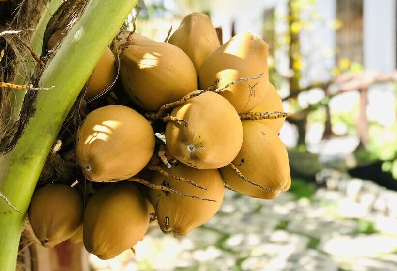 هتل Lagi 1001 Nights