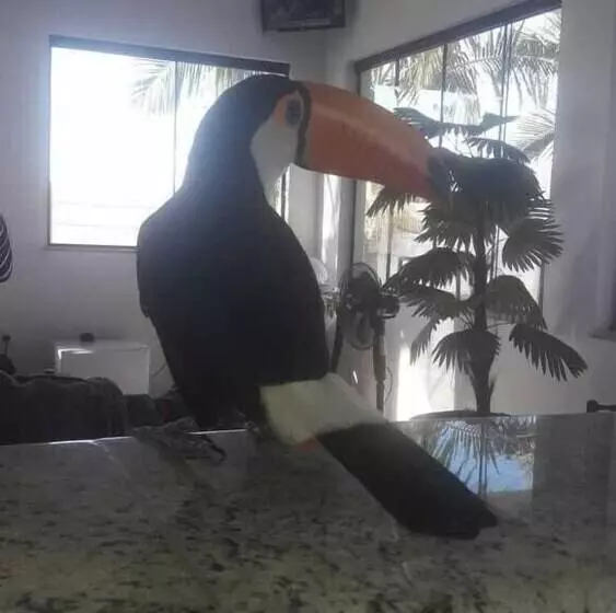 ホテル Pousada Manaca