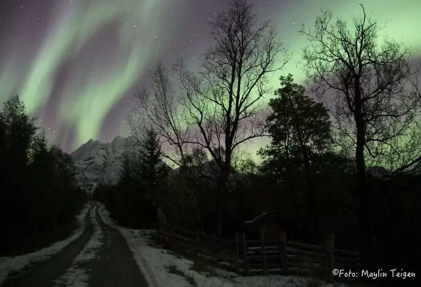 ホテル Svensby Tursenter