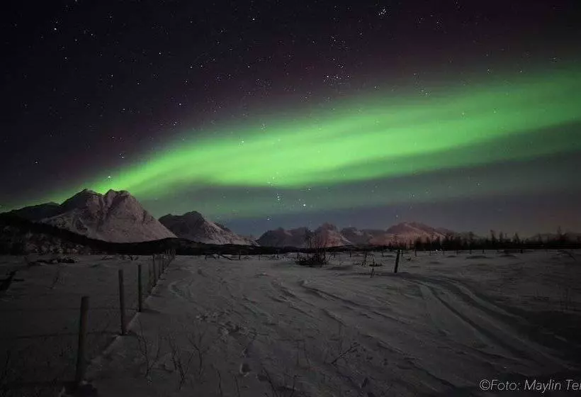 ホテル Svensby Tursenter