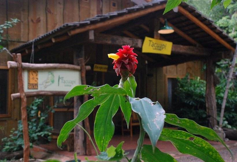 Hotel Tacuapí Lodge