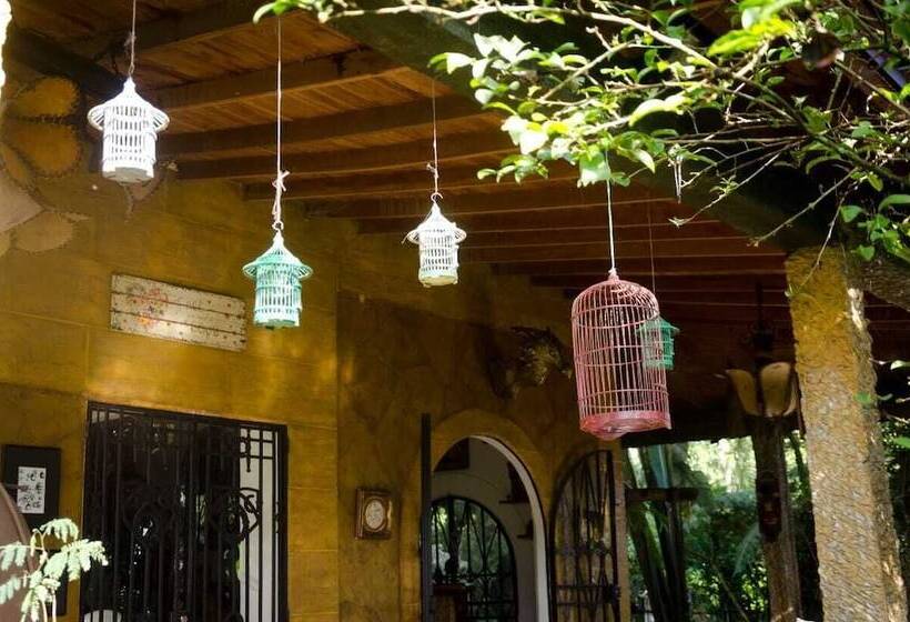 酒店 The Secret Buddha