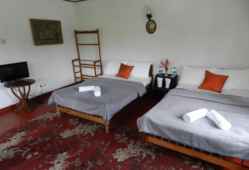 Bed and Breakfast Whiteford Bungalow