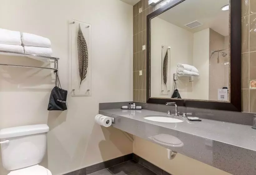 酒店 Best Western Premier Boulder Falls Inn