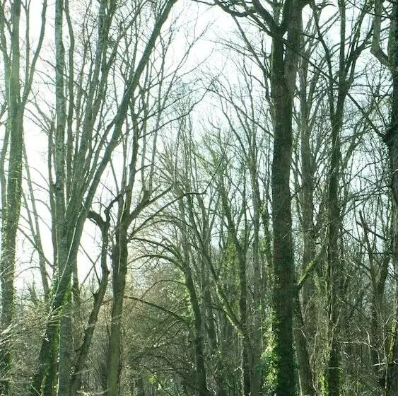 هتل Chateau De Briançon