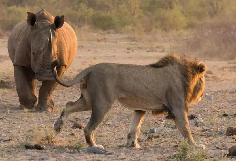 호텔 Etali Safari Lodge