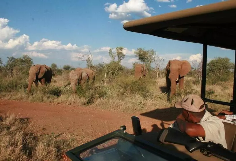 호텔 Etali Safari Lodge