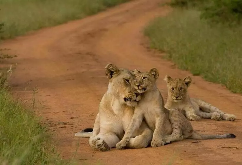 호텔 Etali Safari Lodge