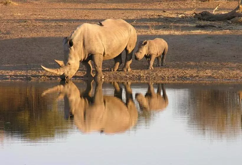 호텔 Etali Safari Lodge