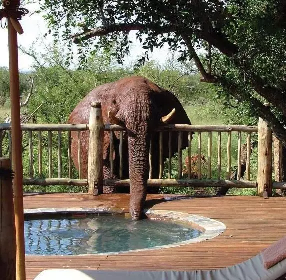 호텔 Etali Safari Lodge