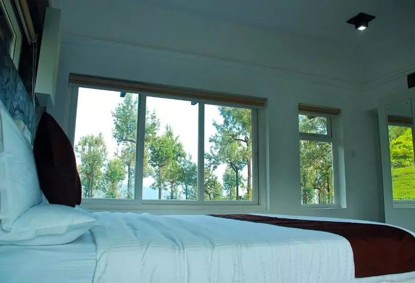 Отель Gruenberg Tea Plantation Haus