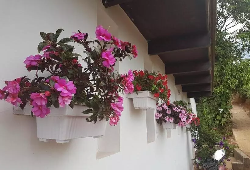 Отель Gruenberg Tea Plantation Haus